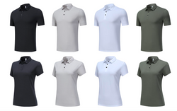Polo Shirt V1