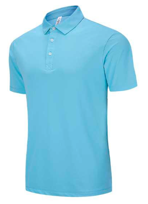 Polo Shirt V4