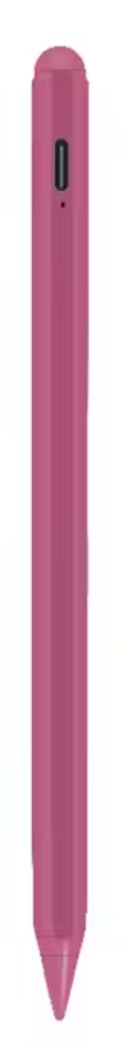 Stylus Pen for iPad V17