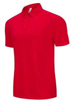 Polo Shirt V4