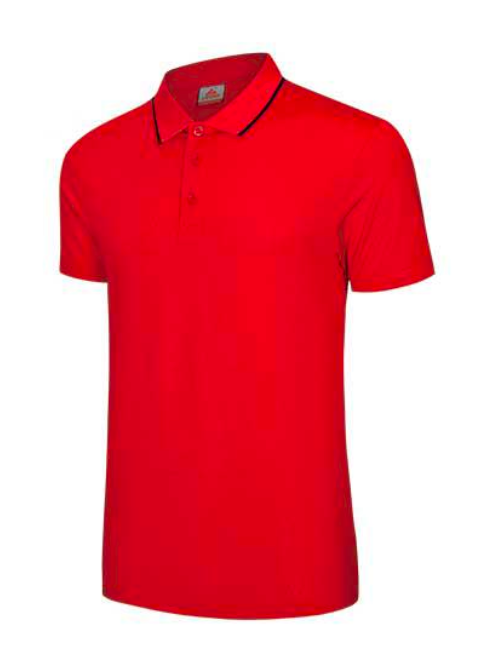 Polo Shirt V6