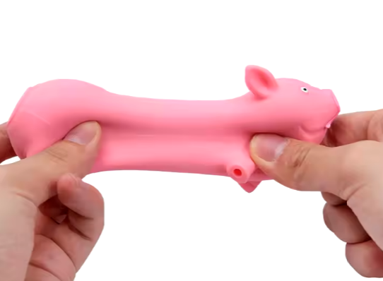Squishy Pig Toy