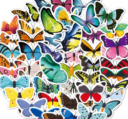 Die-Cut Sticker