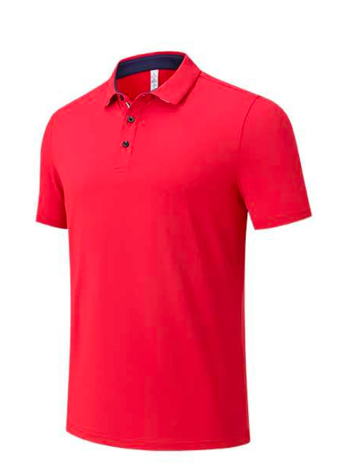 Polo Shirt V2